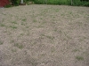 innenausbau_100607_800_029